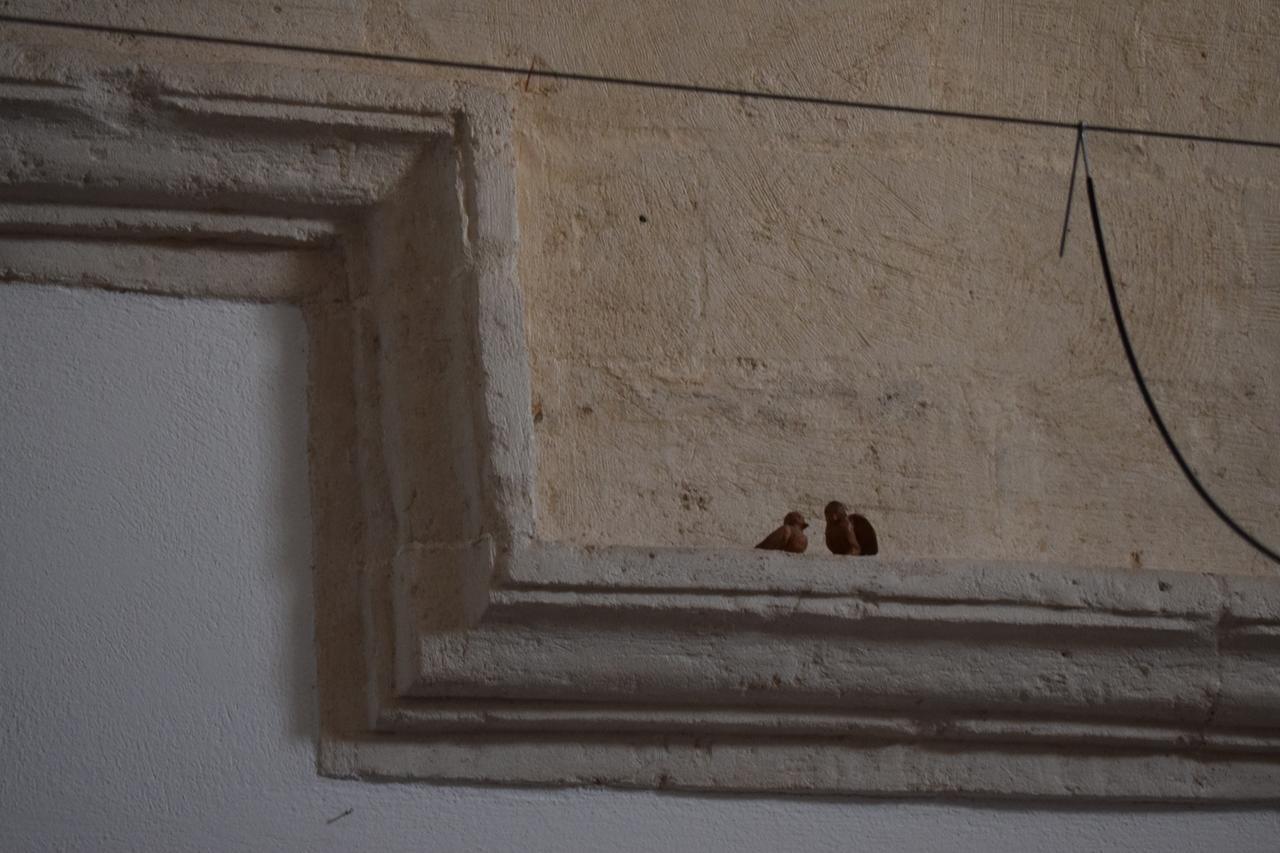 Corte Dei Venti Matera Kültér fotó